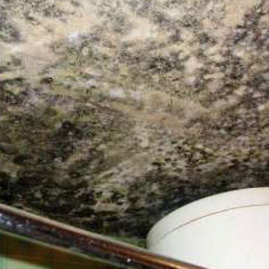 Condensing moisture with mold